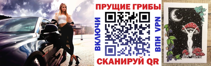 Галлюциногенные грибы GOLDEN TEACHER продажа наркотиков kraken ONION Артёмовский